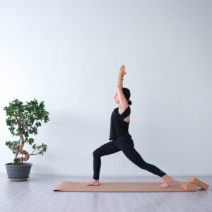 Yoga Ondemand – Livello Avanzato