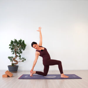 Yoga Ondemand - Livello Base